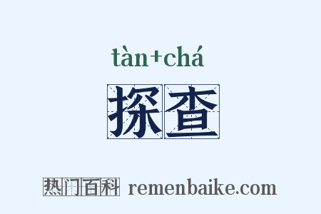 探查是什么意思的图片